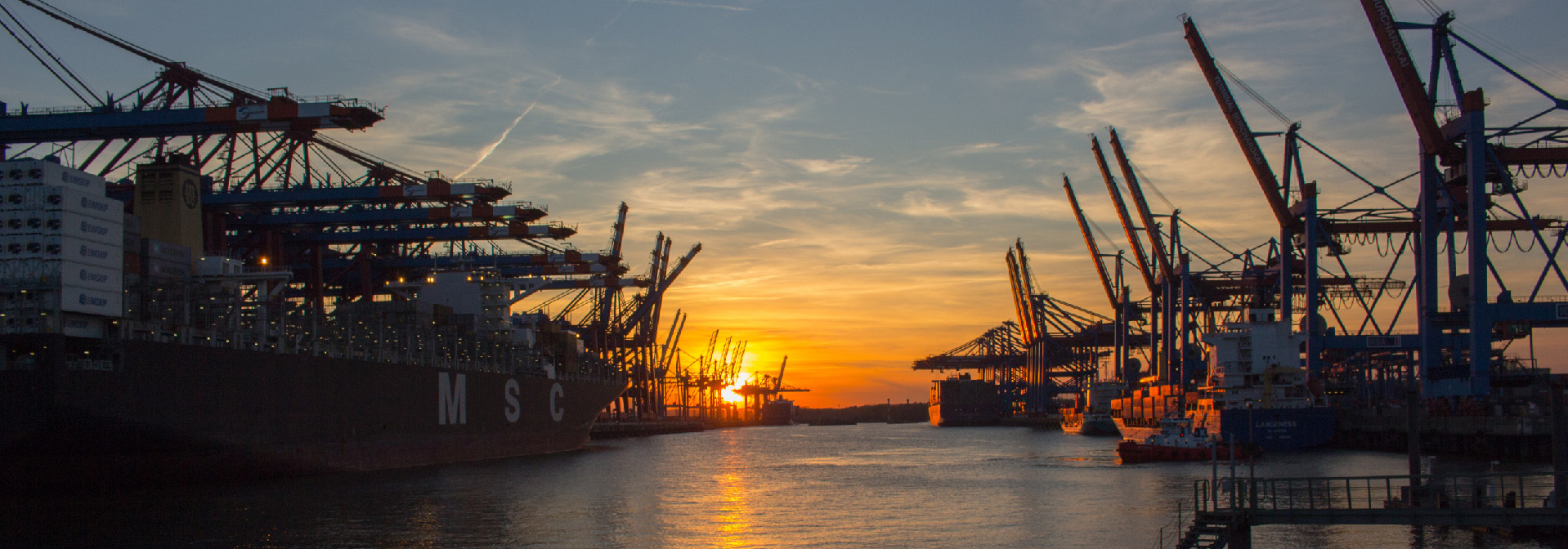 datadesk Soluciones Anexo 24 y Anexo 31